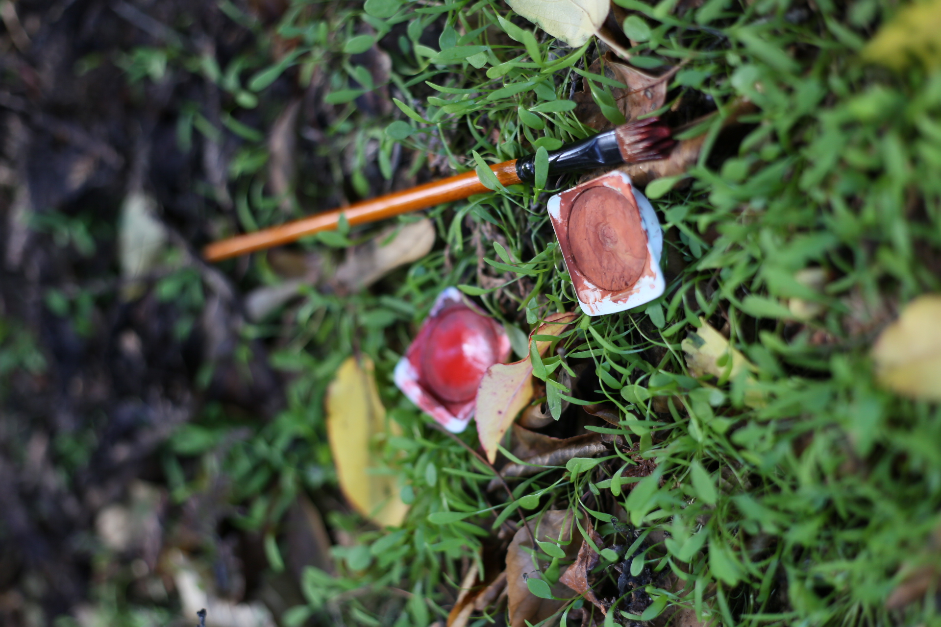 Nature textures and organic details